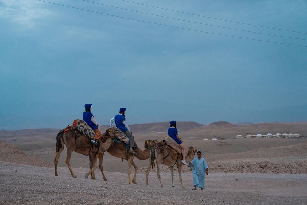 Camel ride at dusk in the Agafay desert