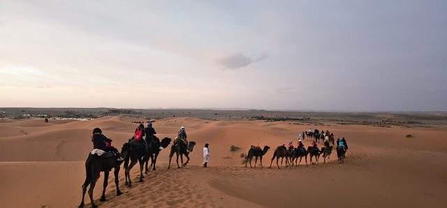 Kameelkaravaan die de duinen oversteekt, met het kamp op de achtergrond