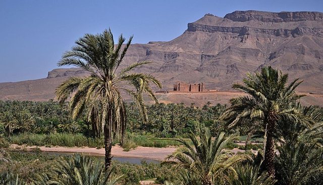 Palmentuin en oude kasbah in de Draa-vallei op weg naar Zagora